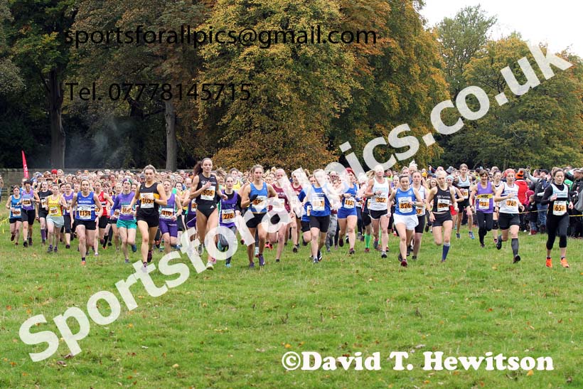 Senior womens 2021 NEHL Lambton Castle near Chester le Street, County Durham. Photo: David T. Hewitson/Sports for All Pics